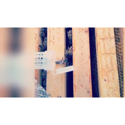 Essaim hiverné 2023